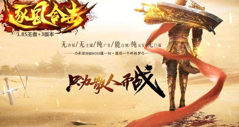 "苍蓝传奇私服游戏攻略：职业选择、属性分配与团队组建"