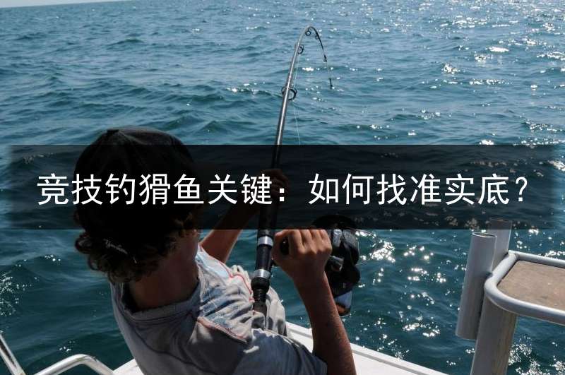 竞技钓猾鱼关键：如何找准实底？