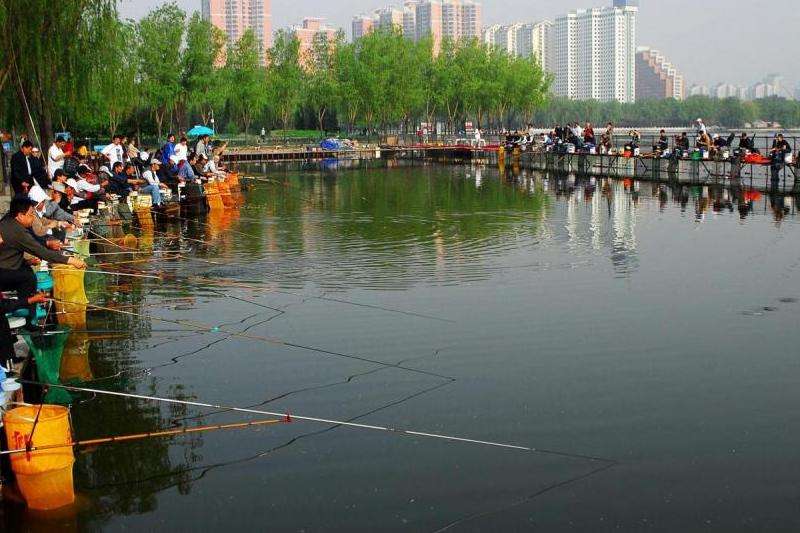 水质水色如何影响钓鱼？看这一篇就够了
