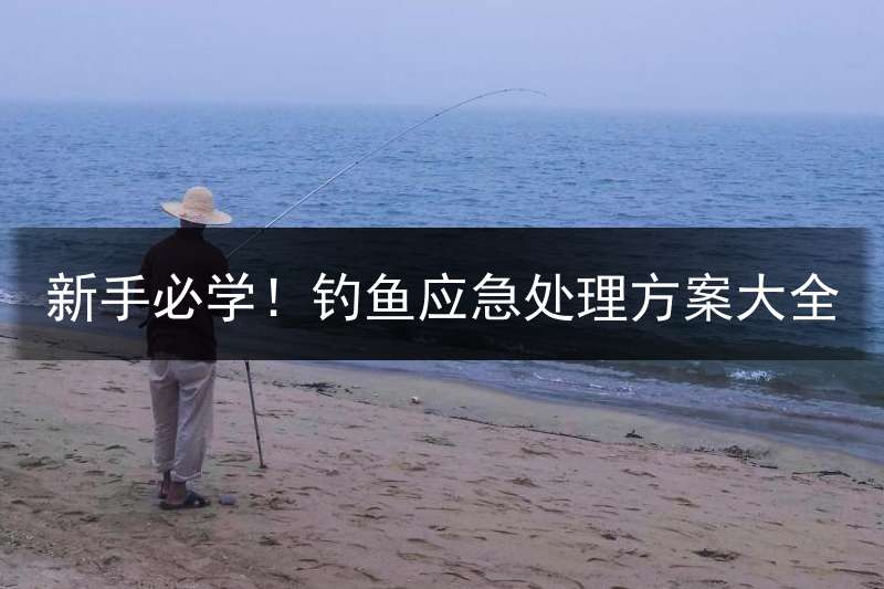 新手必学！钓鱼应急处理方案大全