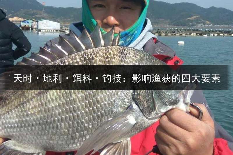 天时·地利·饵料·钓技：影响渔获的四大要素