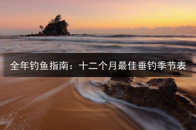 全年钓鱼指南：十二个月最佳垂钓季节表