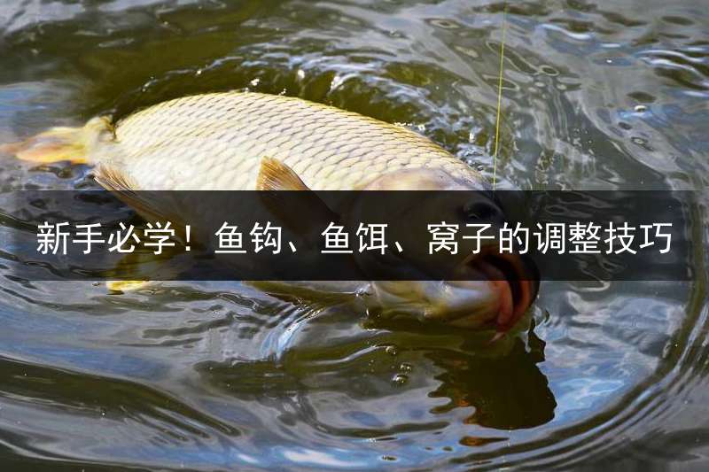 新手必学！鱼钩、鱼饵、窝子的调整技巧
