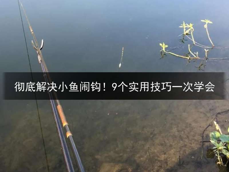 彻底解决小鱼闹钩！9个实用技巧一次学会