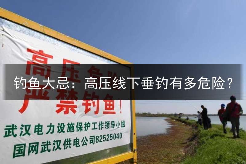 钓鱼大忌：高压线下垂钓有多危险？