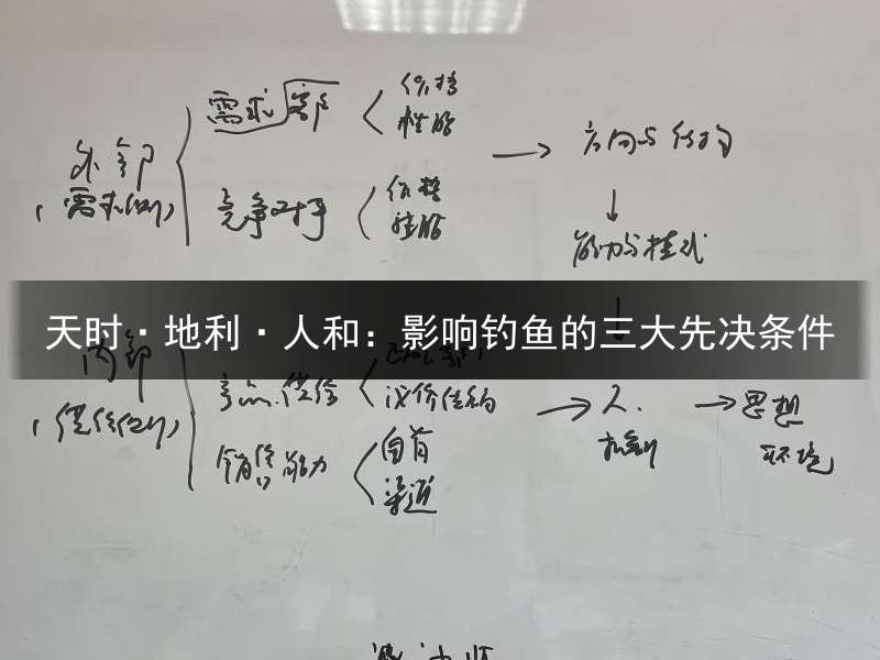 天时·地利·人和：影响钓鱼的三大先决条件
