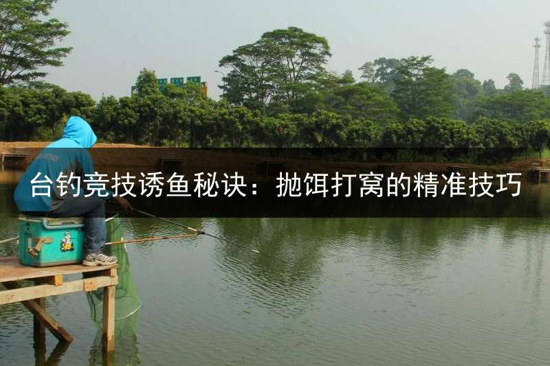 台钓竞技诱鱼秘诀：抛饵打窝的精准技巧