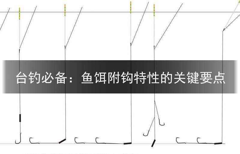 台钓必备：鱼饵附钩特性的关键要点