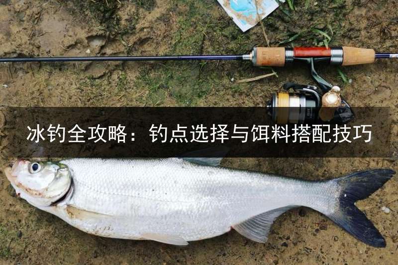 冰钓全攻略：钓点选择与饵料搭配技巧