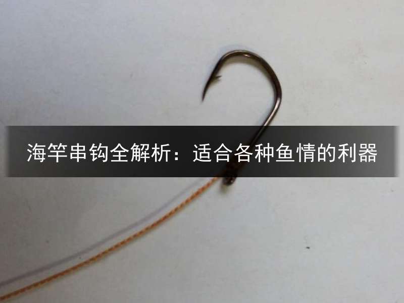 海竿串钩全解析：适合各种鱼情的利器