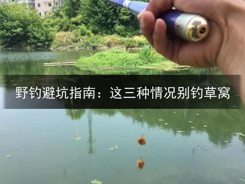 野钓避坑指南：这三种情况别钓草窝
