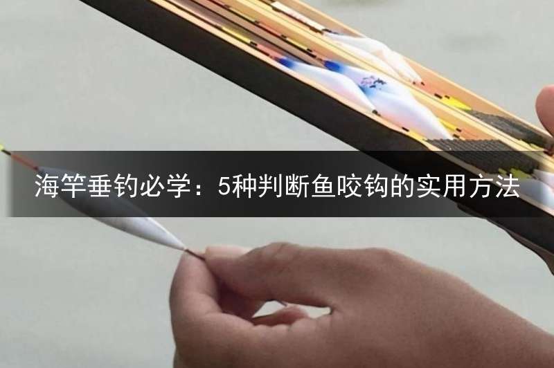 海竿垂钓必学：5种判断鱼咬钩的实用方法