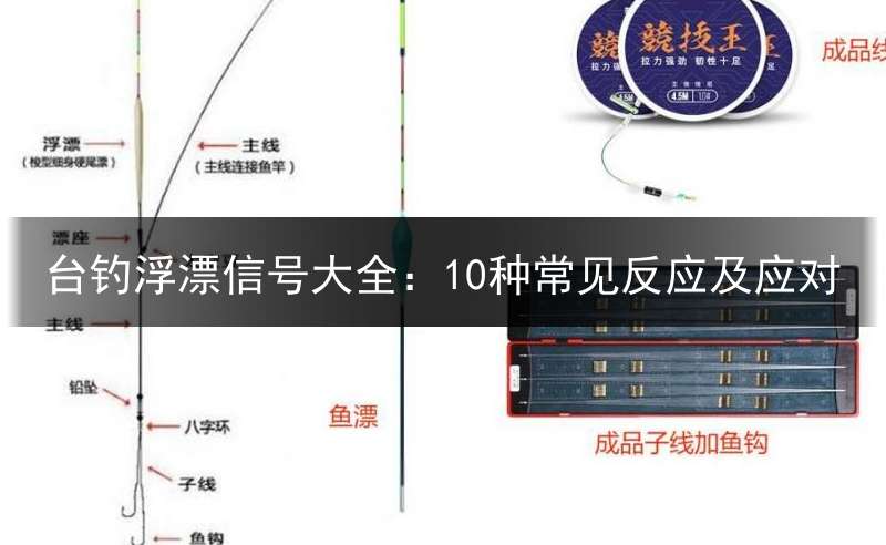 台钓浮漂信号大全：10种常见反应及应对