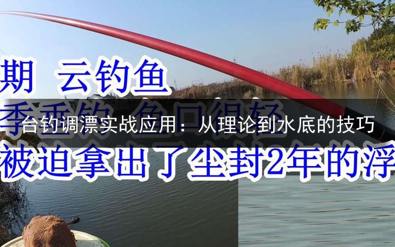 台钓调漂实战应用：从理论到水底的技巧