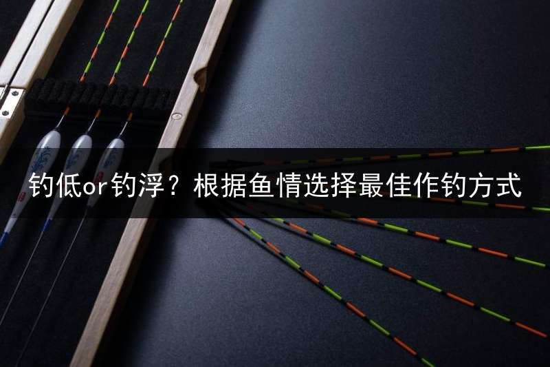 钓低or钓浮？根据鱼情选择最佳作钓方式