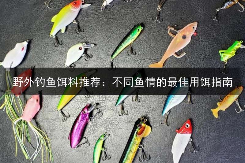 野外钓鱼饵料推荐：不同鱼情的最佳用饵指南