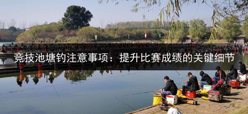 竞技池塘钓注意事项：提升比赛成绩的关键细节