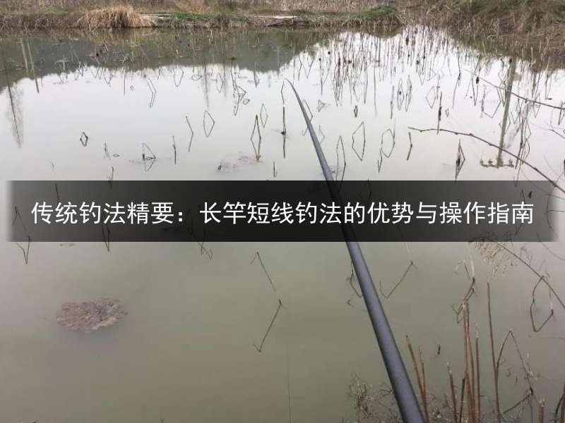 传统钓法精要：长竿短线钓法的优势与操作指南