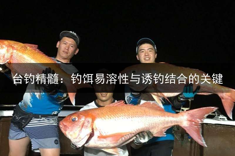 台钓精髓：钓饵易溶性与诱钓结合的关键