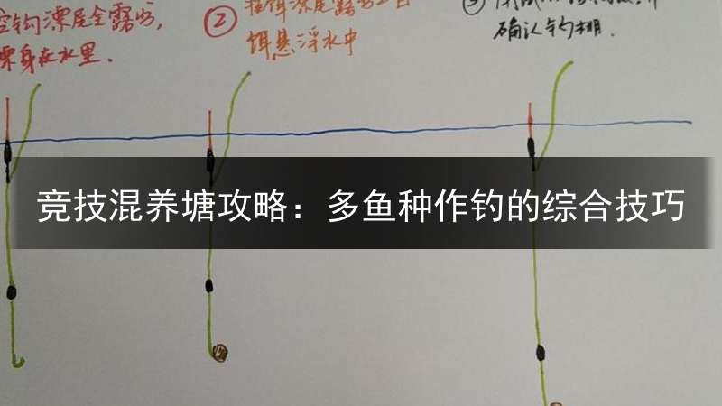 竞技混养塘攻略：多鱼种作钓的综合技巧