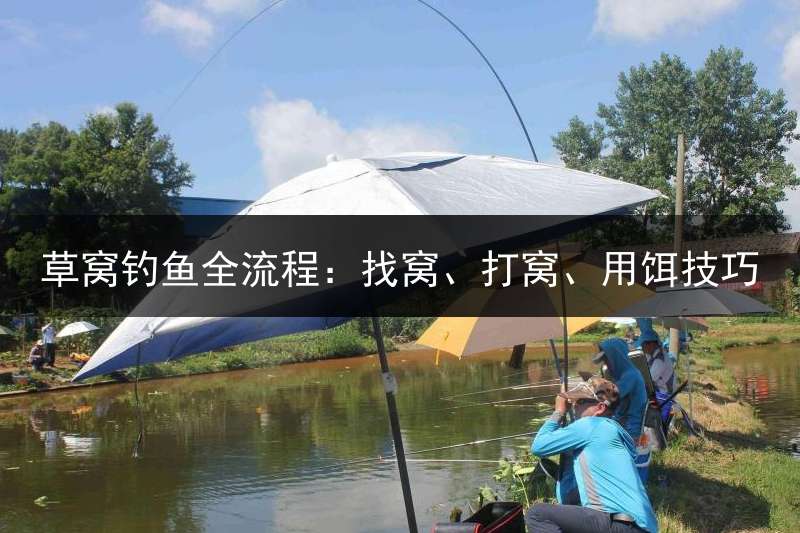 草窝钓鱼全流程：找窝、打窝、用饵技巧