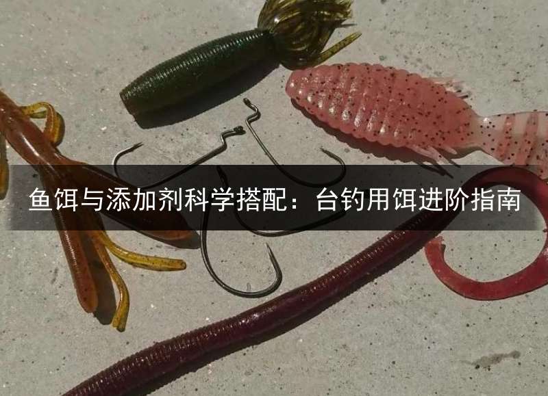 鱼饵与添加剂科学搭配：台钓用饵进阶指南