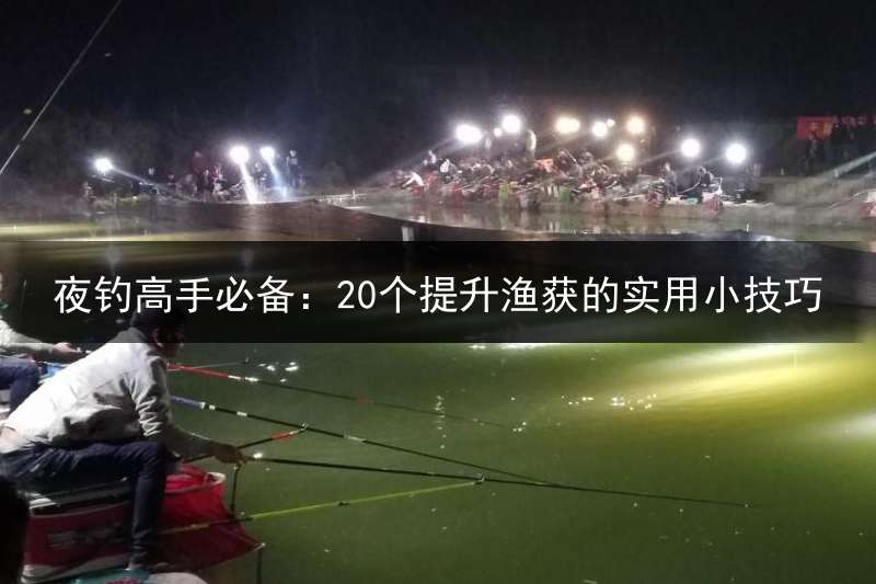 夜钓高手必备：20个提升渔获的实用小技巧