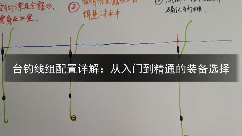 台钓线组配置详解：从入门到精通的装备选择