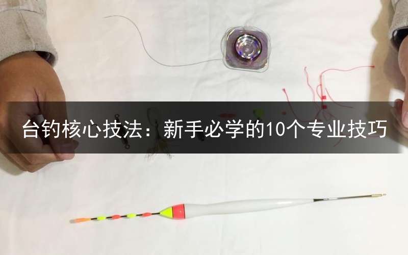 台钓核心技法：新手必学的10个专业技巧