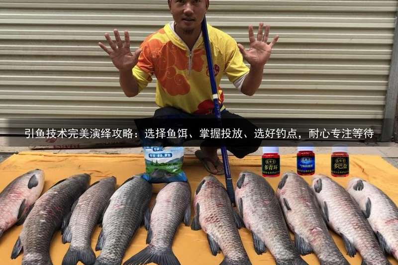 引鱼技术完美演绎攻略：选择鱼饵、掌握投放、选好钓点，耐心专注等待
