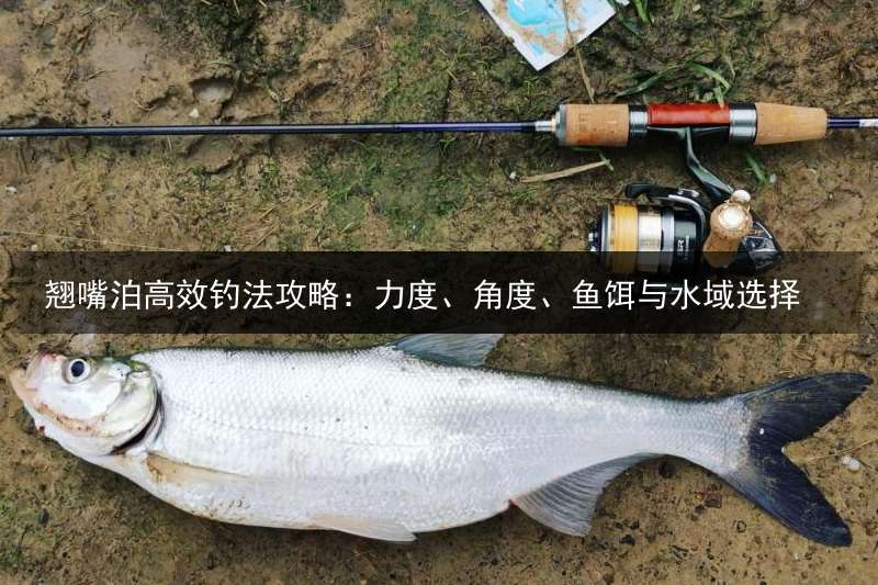 翘嘴泊高效钓法攻略：力度、角度、鱼饵与水域选择