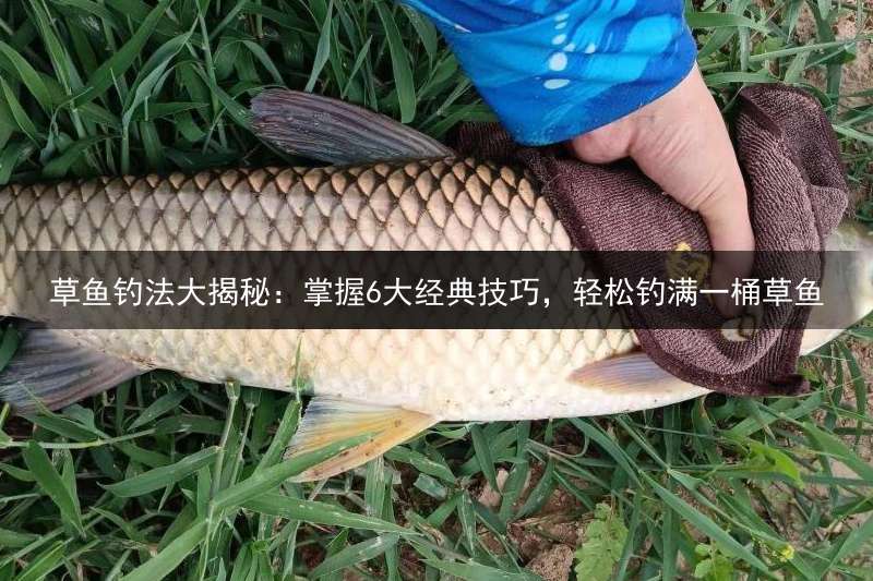 草鱼钓法大揭秘：掌握6大经典技巧，轻松钓满一桶草鱼