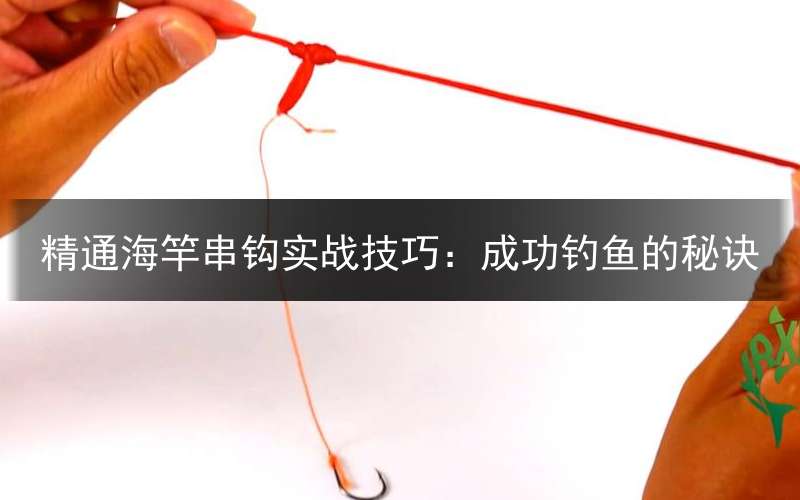 精通海竿串钩实战技巧：成功钓鱼的秘诀