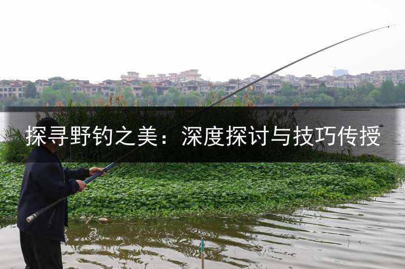 探寻野钓之美：深度探讨与技巧传授