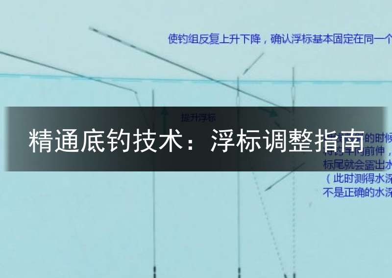 精通底钓技术：浮标调整指南
