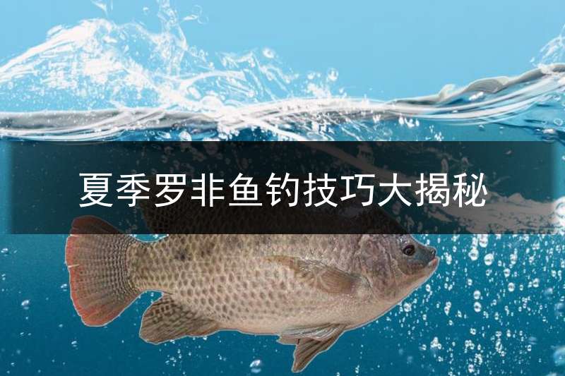 夏季罗非鱼钓技巧大揭秘