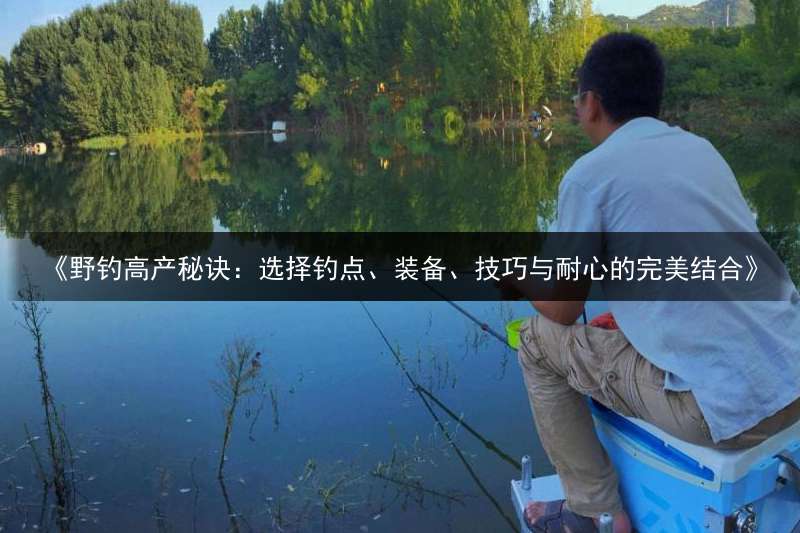 《野钓高产秘诀：选择钓点、装备、技巧与耐心的完美结合》