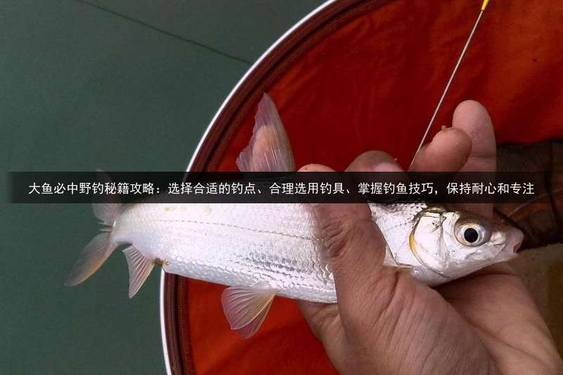大鱼必中野钓秘籍攻略：选择合适的钓点、合理选用钓具、掌握钓鱼技巧，保持耐心和专注