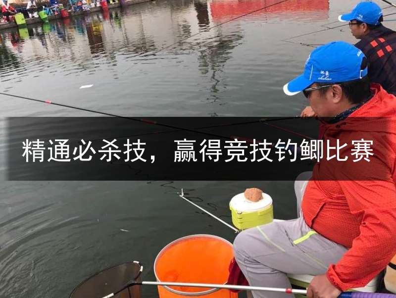 精通必杀技，赢得竞技钓鲫比赛