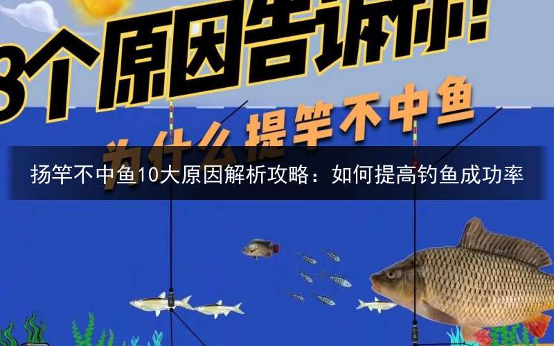 扬竿不中鱼10大原因解析攻略：如何提高钓鱼成功率