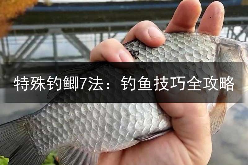 特殊钓鲫7法：钓鱼技巧全攻略