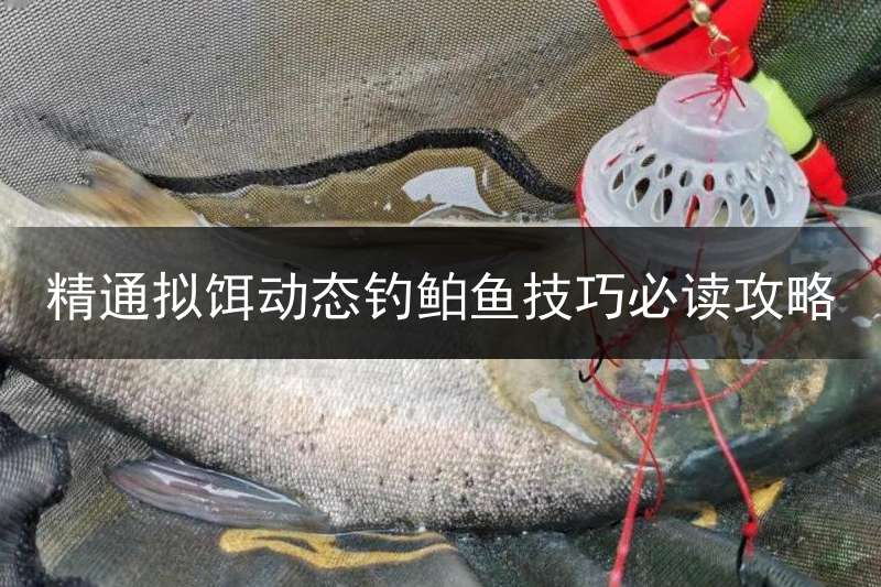 精通拟饵动态钓鲌鱼技巧必读攻略