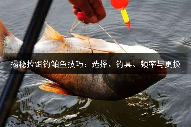 揭秘拉饵钓鲌鱼技巧：选择、钓具、频率与更换