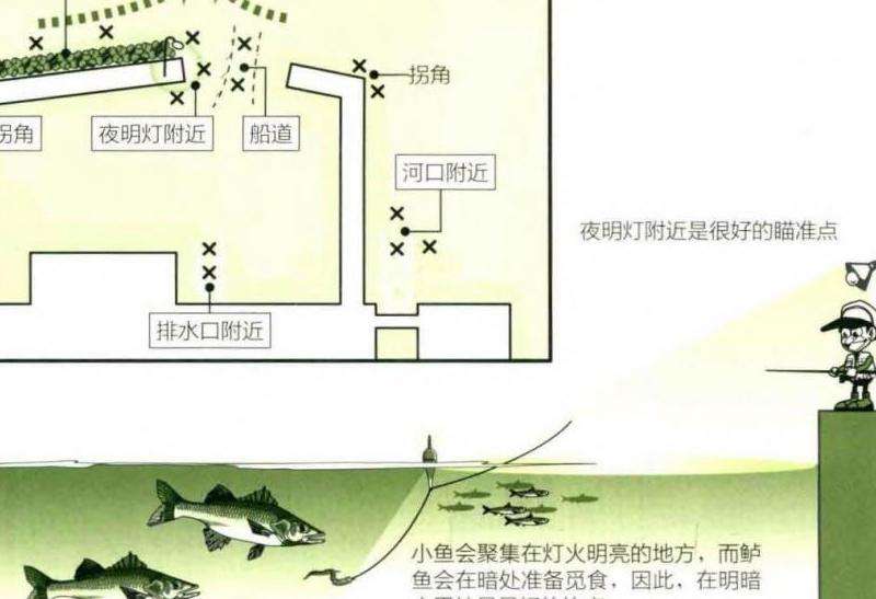 浮游矶钓鲈鱼装备配置黄金公式